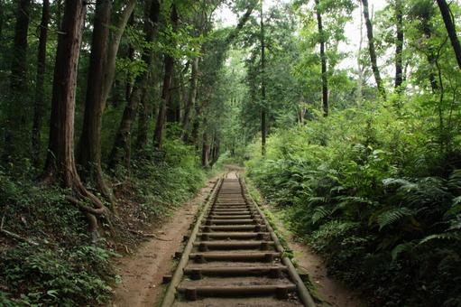 Photo, wood, stage, mountain path, 