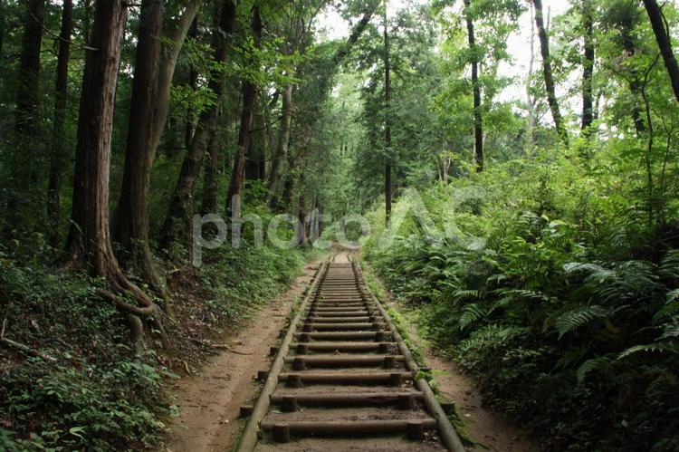 山の中の木でできた階段 木,階段,山道の写真素材