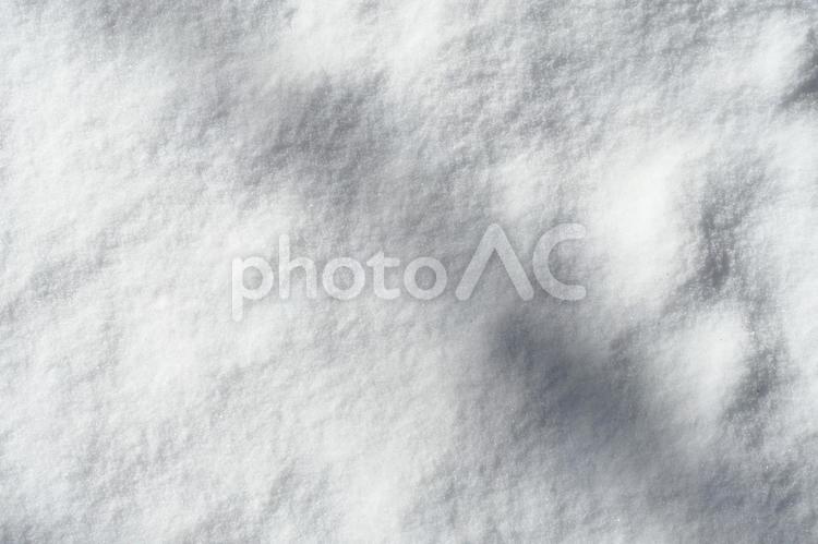 雪面に映る木の影　白の背景素材 雪,雪面,背景の写真素材
