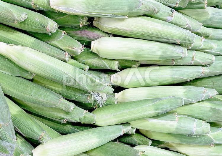 野菜・トウモロコシ トウモロコシ,玉蜀黍,トウキビの写真素材