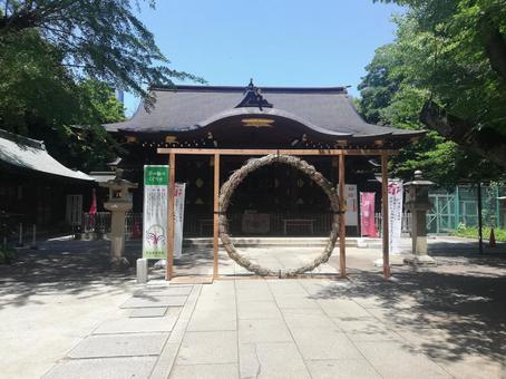 渋谷氷川の茅の輪くぐり 渋谷氷川の茅の輪くぐりの写真