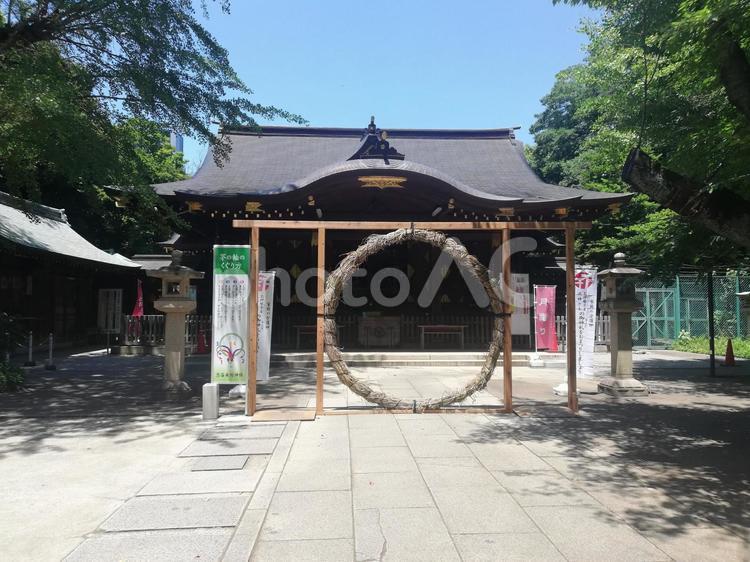 渋谷氷川の茅の輪くぐり 渋谷氷川神社,茅の輪くぐり,神社の写真素材