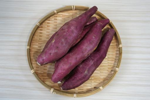 色鮮やかなサツマイモ・鳴門金時 さつまいも,鳴門金時,徳島の写真素材