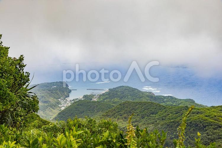 小笠原諸島・母島　乳房山山頂から望む風景 乳房山,山,小笠原諸島の写真素材