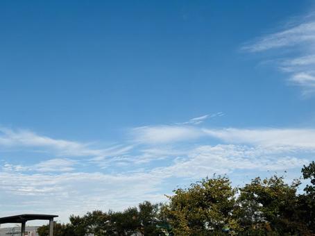 公園の青空 空,青空,曇りの写真素材