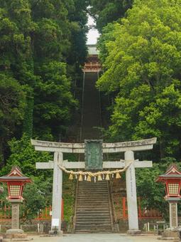 新緑に包まれる鹽竈神社 新緑に包まれる鹽竈神社 宮城県,塩釜市,鹽竈神社の写真素材