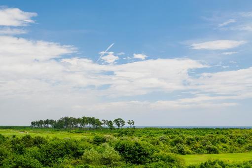 沿岸部の風景(29) 沿岸部の風景(29)の写真