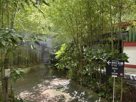 来宮神社、境内。 来宮神社、境内。の写真