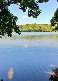 暑い夏の一碧湖風景 25 暑い夏の一碧湖風景 25 一碧湖,木洩れ日,自然の写真素材