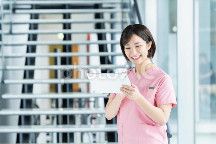 タブレットを使う医療従事者の若い女性 医師,看護師,タブレットの写真素材