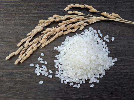 お米と稲穂_焦茶木目バック_3 お米と稲穂_焦茶木目バック_3 秋,秋の味覚,新米の写真素材