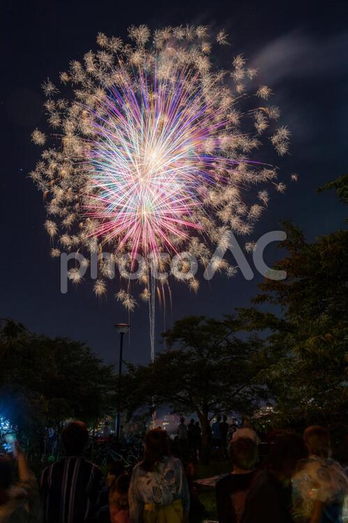 美しい打ち上げ花火 花火,打ち上げ花火,夏祭りの写真素材