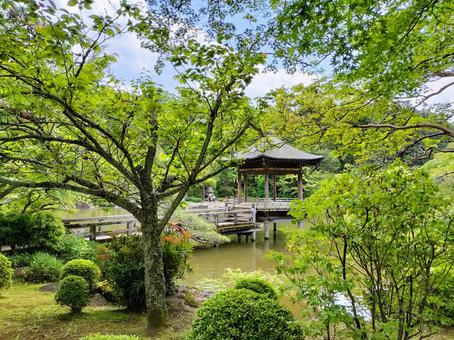 成田山新勝寺 成田山公園の池の畔の浮御堂 成田山新勝寺 成田山公園の池の畔の浮御堂の写真