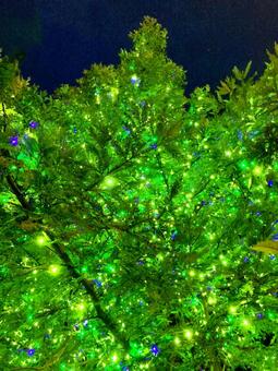 イルミネーション イルミネーション,電飾,光の写真素材