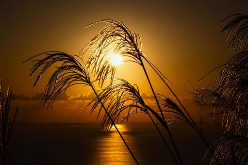 海に沈む夕陽と黄金色に輝くススキの穂 海に沈む夕陽と黄金色に輝くススキの穂 夕日,夕焼け,夕暮れの写真素材