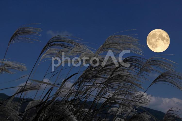 秋の風景　十五夜 月,十五夜,満月の写真素材