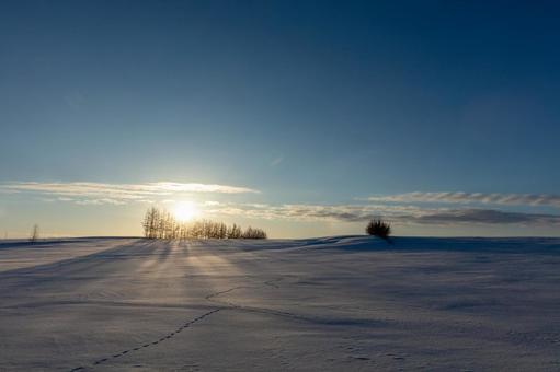 夕暮れの雪原と林 夕暮れの雪原と林 太陽,夕陽,林の写真素材