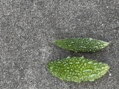 美しいゴーヤ コピースペース 美しいゴーヤ コピースペース ゴーヤ,野菜,春の写真素材