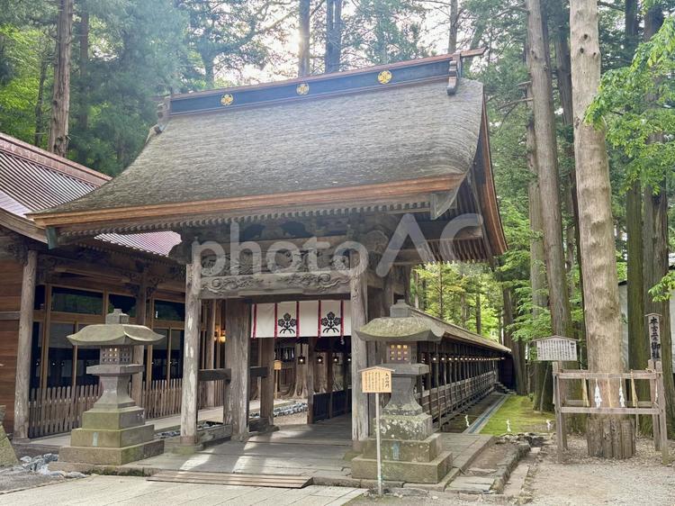 諏訪大社上社本宮　入口御門  諏訪大社,上社本宮,入口御門の写真素材