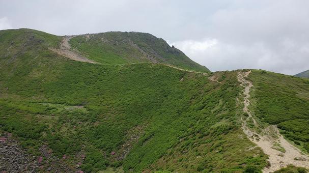 久住山頂までの道 久住山頂までの道 山,登山,登山道の写真素材