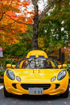 黄色いスポーツカーで秋の奥多摩ドライブ1 スポーツカー,オープンカー,ツーシーターの写真素材