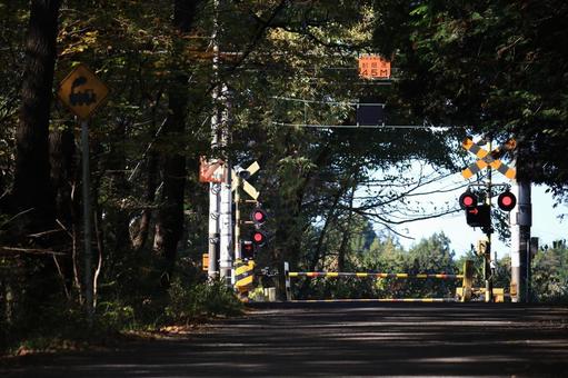 木漏れ日の踏切 道路,街路,道の写真素材