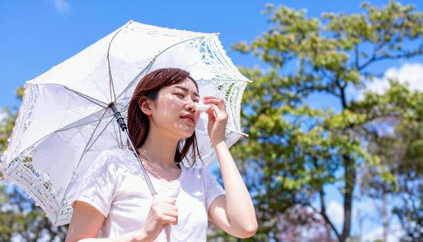 日傘をさして白いハンカチで汗を拭く女性 日傘をさして白いハンカチで汗を拭く女性の写真