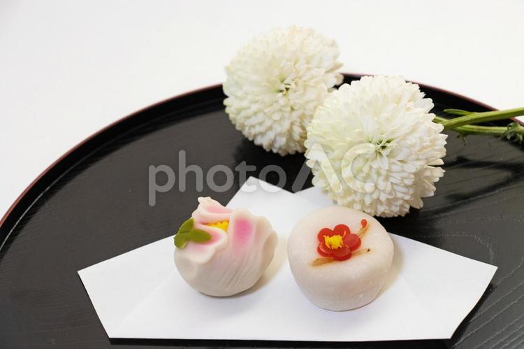 美しい和菓子　牡丹の花と梅の花 和菓子,梅の花,牡丹の花の写真素材