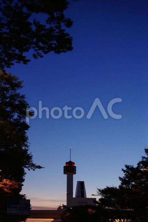 東京のお台場周辺の夜景 夜景,ライトアップ,お台場の写真素材