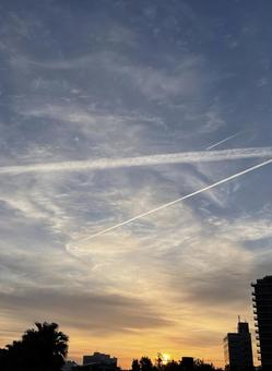 朝焼けと飛行機雲 朝焼けと飛行機雲の写真