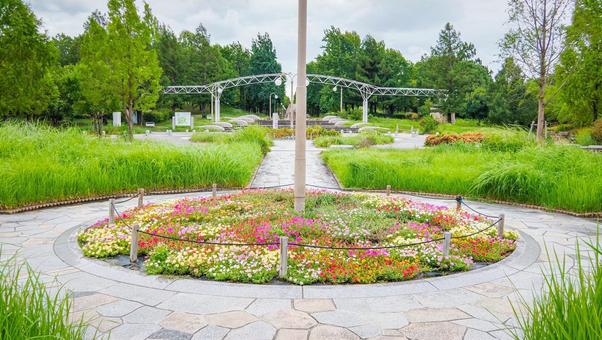 エントランスの花壇 夏 エントランスの花壇 夏の写真