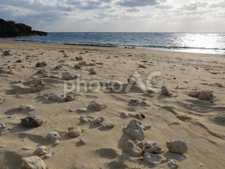 白い砂浜と珊瑚 ビーチ,水平線,サンゴの写真素材