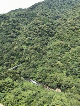 青々とした緑の風景と吊り橋 青々とした緑の風景と吊り橋の写真