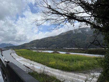 田舎の川と山 田舎の川と山 自然,山,山道の写真素材