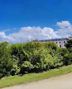 フランスの青い建物 フランスの青い建物の写真