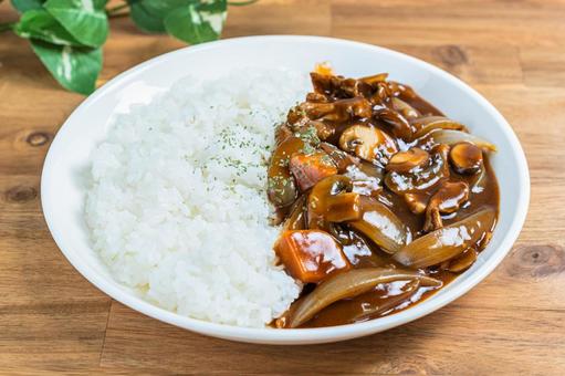 白皿に盛られたハヤシライス 白皿に盛られたハヤシライス ハヤシライス,ご飯,皿の写真素材