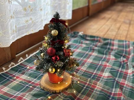 左側のクリスマスツリー クリスマスツリー,クリスマス,お祝いの写真素材