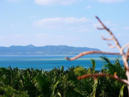川平湾 遠景 川平湾 遠景の写真