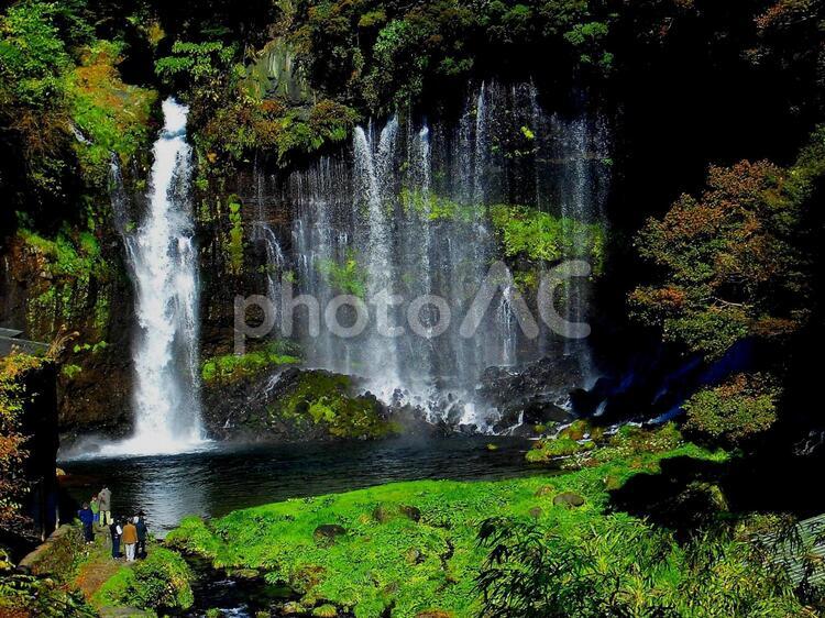 静岡県、白糸の滝、富士宮市 白糸の滝,滝,静岡県の写真素材