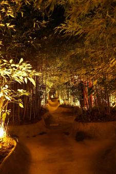 深夜の熱海、来宮神社大楠への通路 深夜の熱海、来宮神社大楠への通路 来宮神社,神社仏閣,境内の写真素材