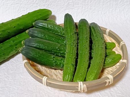 きゅうり きゅうり きゅうり,キュウリ,野菜の写真素材