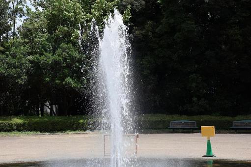 噴水と緑の植物とベンチのある公園の風景 噴水と緑の植物とベンチのある公園の風景の写真