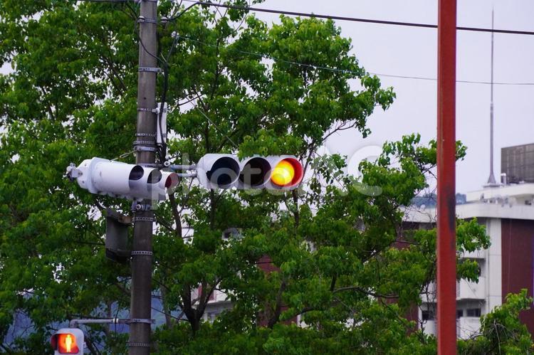 交差点の信号機 信号機,交差点,電柱の写真素材