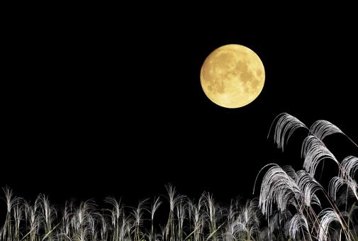 お月見。秋の夜の黒背景に満月とススキ お月見。秋の夜の黒背景に満月とススキ お月見,秋,満月の写真素材