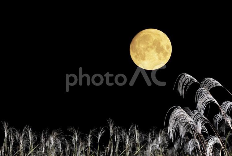 お月見。秋の夜の黒背景に満月とススキ お月見,秋,満月の写真素材