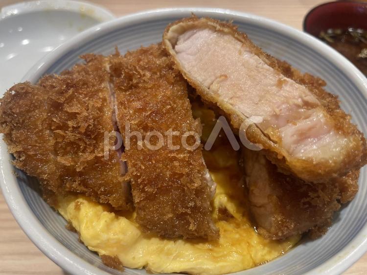 とんかつ丼　並 とんかつ,とんかつ丼,かつ丼の写真素材