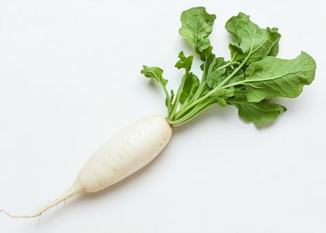 食べ物大根 食べ物大根の写真