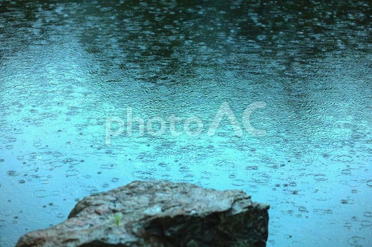 雨の波形ー自然の美 雨の波形,雨の日,波形の写真素材
