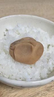 梅干しごはん 梅干しごはんの写真