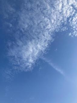夏の空 夏の空の写真
